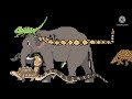 The Kids Picture Show Stampede Farm Animals Mammals Pets Reptiles