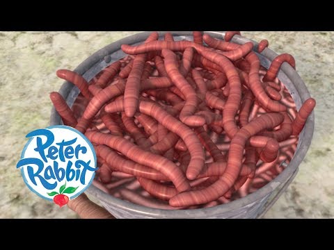 Peter Rabbit - Worm Your Way Out of This! | Cartoons for Kids
