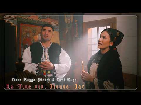 Oana Bozga-Pintea and 3 more