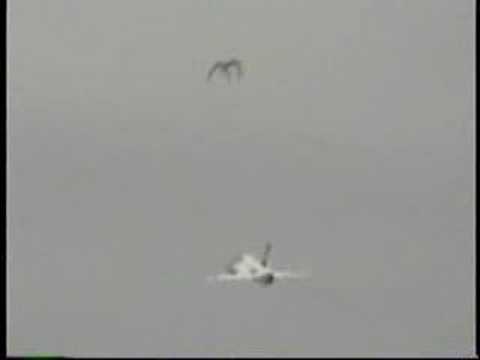 2003 Wheels & Wings Airshow - Military Aircraft Departures