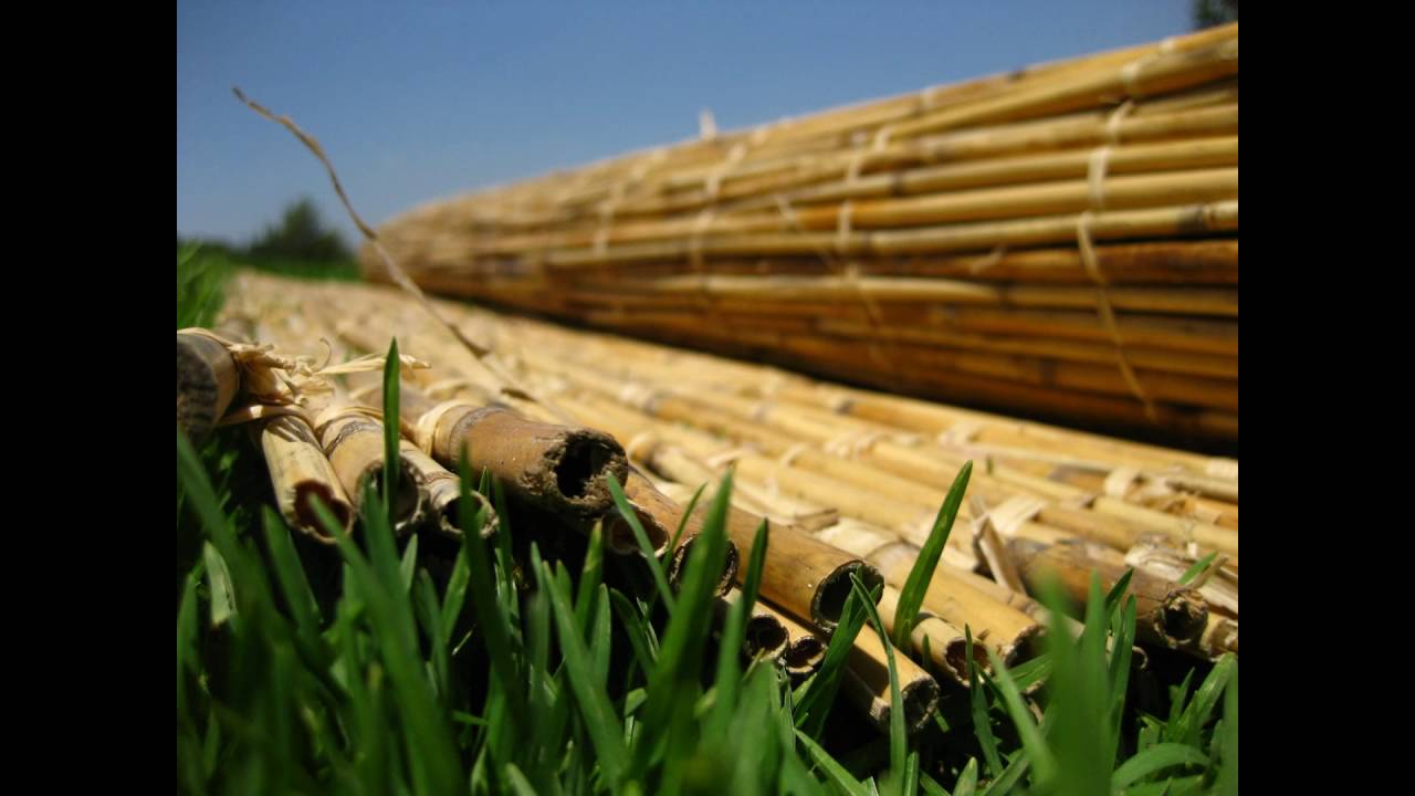 סוכות למכירה בזול - חייג 072-2133333