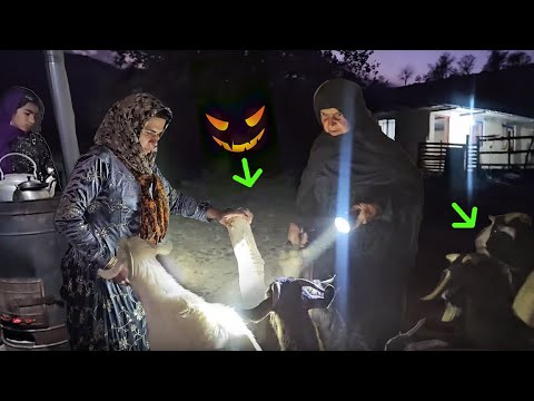 Alone in the Farm: What are Fariba and Grandma looking for in darkness?