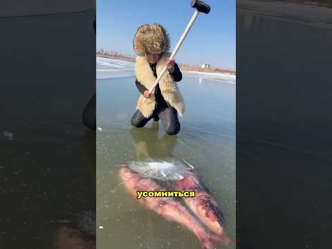 Шокирующие методы зимней рыбалки в Якутии и Казахстане!#2025 #новости #viral
