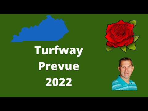 2022 Turfway Prevue Odds and Predictions 2 hqdefault
