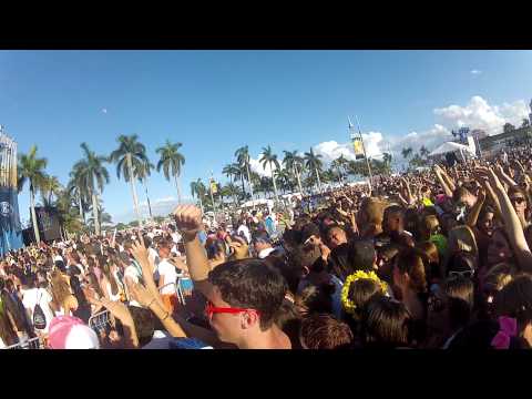 life in color (formally dayglow) #7