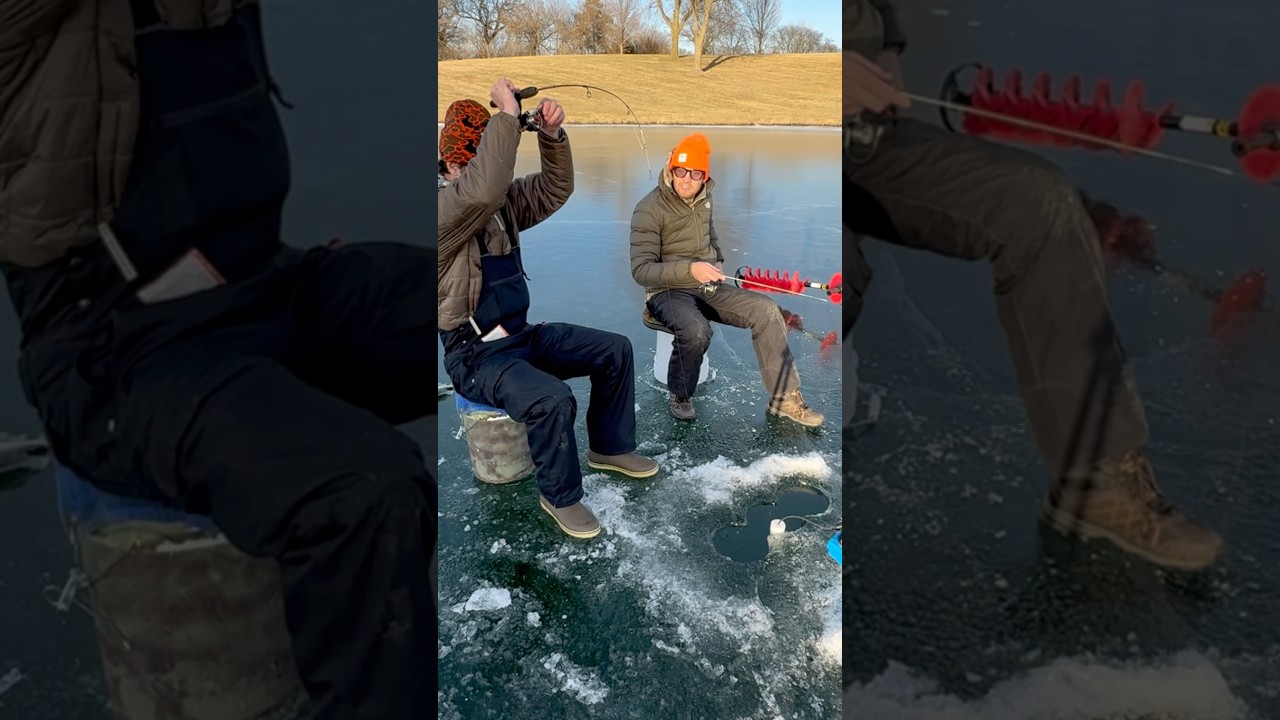 Loch Ness Monster fishing video