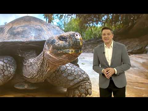 E VREMEA TA! 28.11.2025