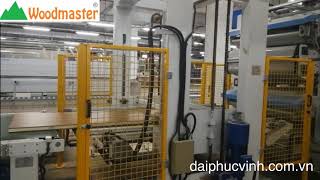 MÁY ÉP NHIỆT BĂNG TẢI 2 Tầng nạp phôi tự Động ép Cánh Cửa Giả Dày làm của Gỗ Công nghiệp siêu nhanh