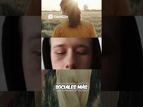 Andrés Mann Alvarado-6