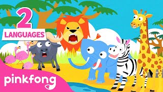 🦁Hakuna Matata in Hindi &amp; English | हकूना मटाटा | Animal Songs | Hindi Rhymes for kids | Pinkfong