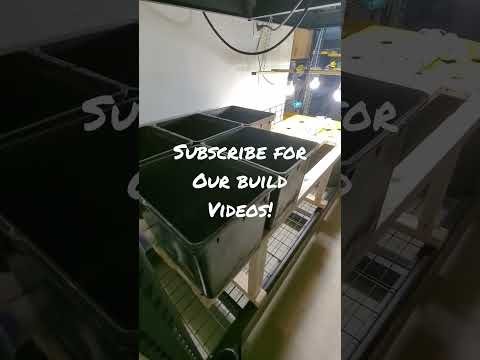 Dutch Buckets DIY Sneak Peak at our Hydroponics Upgrade