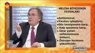 Melisa Bitkisinin Faydaları - TRT DİYANET