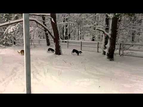 Zimowe zabawy 07.12.13