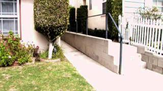 Camcorder Trailer