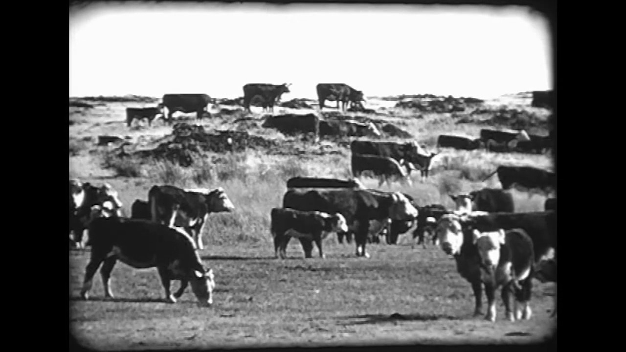 Historic Washington: Surprising State of Washington