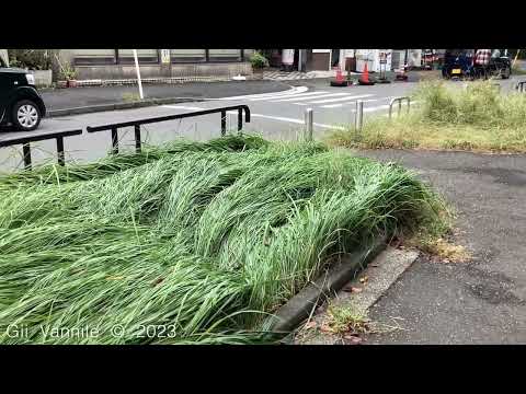 MLT　Gramas na frente de Ben Ten Sama　02316-13 20231005 Qui. 09:54　iPad Kanji Nakano中ノ蜞爾JP