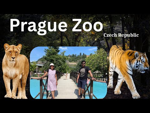 Prague Zoo Czech Republic || Zoological Park,Praha #praguezoo #prague #zoo