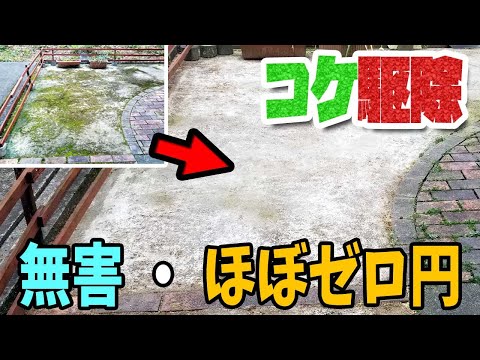 芝生からコケを取り除くにはどうすればよいですか？庭のコケを取り除くための最良のヒント  庭園