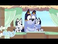 Honk BONUS BIT Bluey