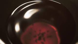 [実況]モンスターハンター　ワイルズ　11番茶目　お手伝い募集中。白い連峰の悪魔討伐！！