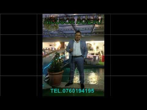 NICU BOIERU BANAT LENT