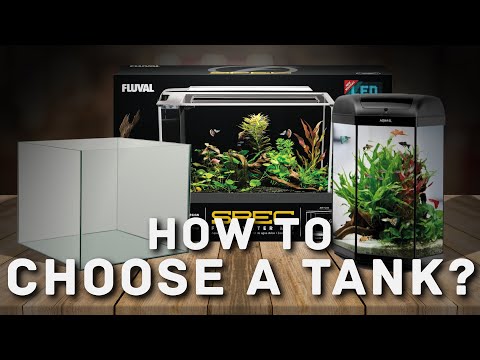 The Ultimate Guide to Choosing Your Aquarium