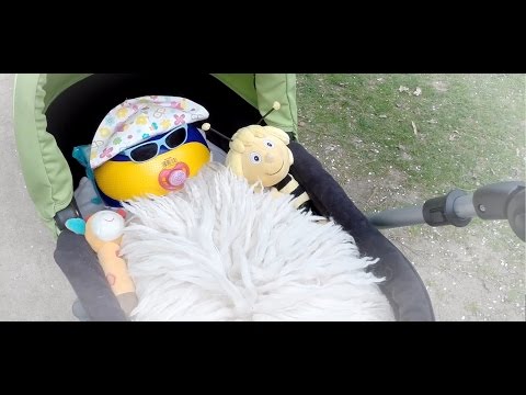 SV Hochheim 07: Volleyball my best friend