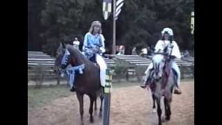 preview picture of video 'Maryland Renaissance Festival - Oct 9, 1994 - Joust Arena - 6:00'