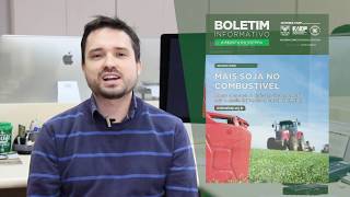 Miniatura do vídeo