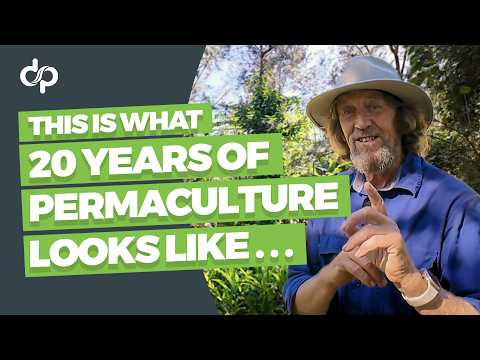 Geoff Lawton: 20 Years of Permaculture Evolution Unveiled