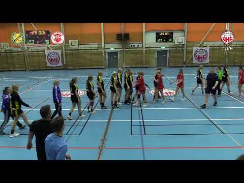 IK Sävehof 2  -  Gustavsbergs IF HK   2:a