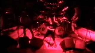 Bone Circus L.I.F.E.