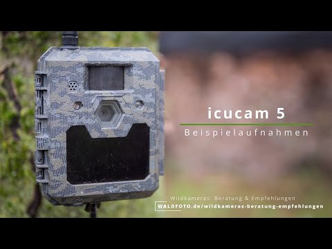 ICUcam 5 Beispielaufnahmen | bei Tag & Nacht