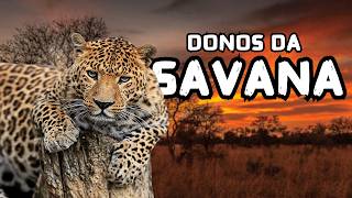 SAVANA AFRICANA: Os Animais Que Vivem Nesse Lugar Extremo - Documentário Sobre Animais
