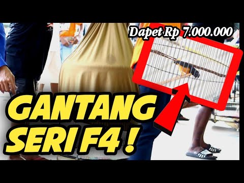 Reckless Action ‼️ AT SKN XI KOPDAR || MURAI FROM JAKARTA