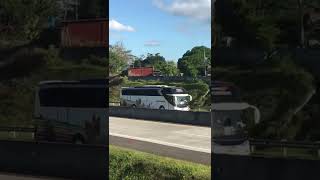 Download lagu Bus Pariwisata SPA Surya Putra Adipradana 8 Juli Tol KM 478 #shorts #huntingbus mp3 Download lagu Bus Pariwisata SPA Surya Putra Adipradana 8 Juli Tol KM 478 #shorts #huntingbus mp3