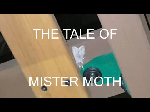 The Tragic Tale of Mister Moth