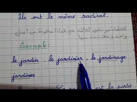 Les mots de la même famille : définition et exemples😎🤓🤨
