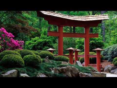 3 HOURS of the Best Traditional Japanese Music - Relaxing Music for Stress Relief and Healing