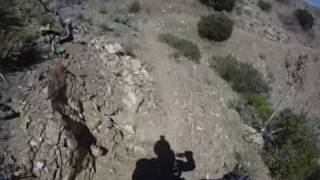 preview picture of video 'PALM CANYON EPIC MOUNTAIN BIKE'