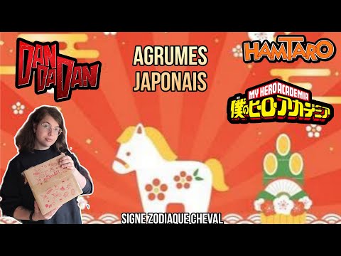 Unboxing Nihonbox de Décembre-Nouvel an/Agrumes japonais-Dandadan, Hamtaro, My Hero Academia...