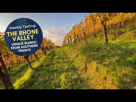 Wines of the Southern Rhône: The Côtes du Rhône, Explained