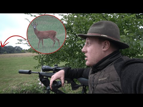 CAPITAL bucks in July - Leaf hunting and the mouflon pack (Copterpro hunting)