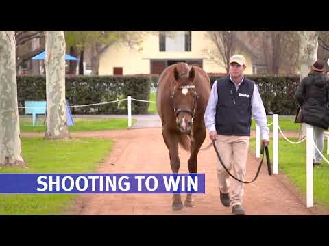 Shooting To Win update with Alastair Pulfold