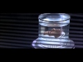 nicolas cage scream laugh and orgasm