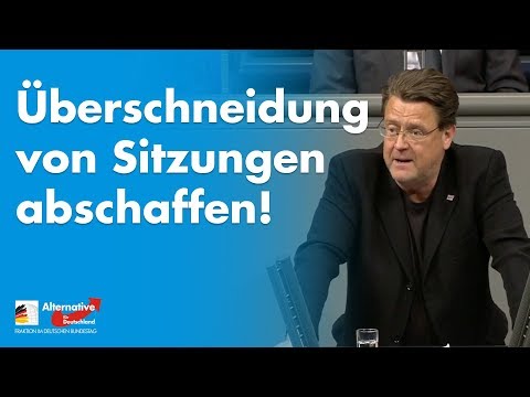 Brandner: Überschneidung von Sitzungen mit Ausschüssen abschaffen! - AfD-Fraktion im Bundestag