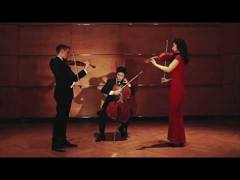 Astor Piazzolla - Oblivion arr. for String Trio