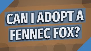 Can I adopt a Fennec fox?