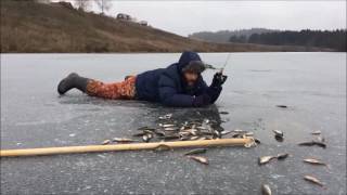 Рыбалка в ильинском пермский край банда