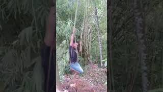 Download lagu Doyok caenel mencoba jadi Tarzan auuooo mp3